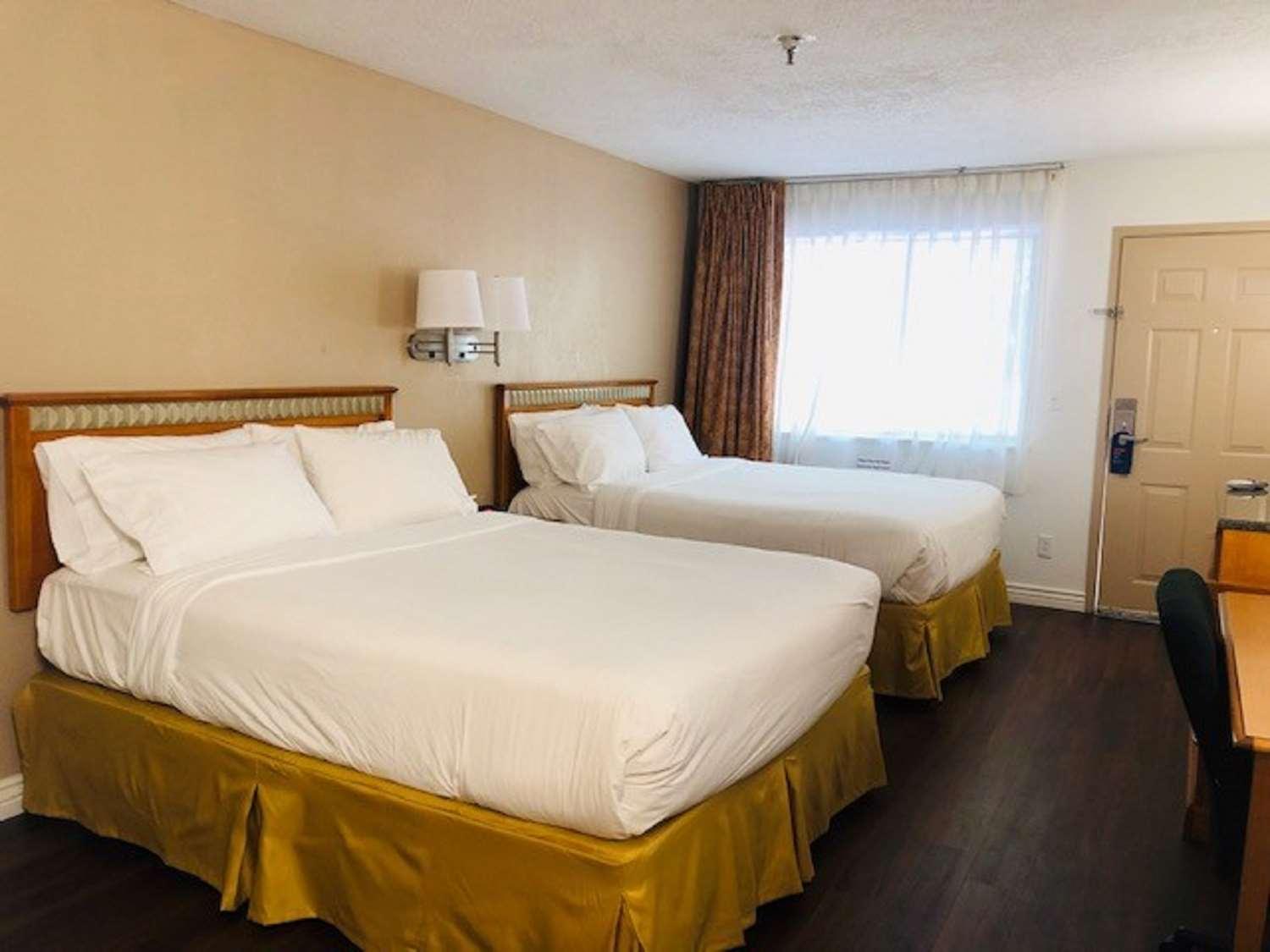 Surestay Plus Hotel By Best Western Albuquerque I-40 Eubank Exterior foto